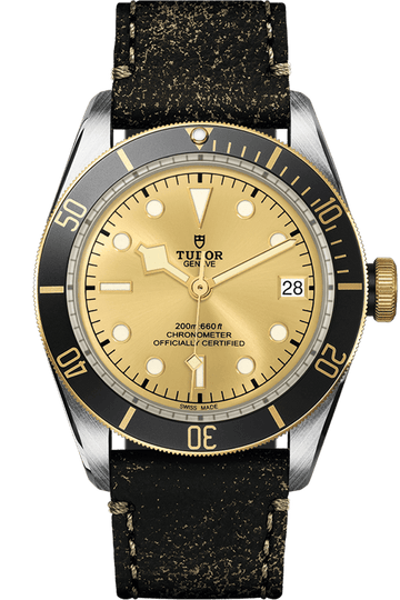 Tudor Black Bay S&G Ref - M79733N-0003