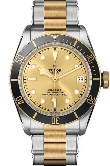 Tudor Black Bay S&G Ref - M79733N-0004