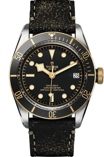 Tudor Black Bay S&G Ref - M79733N-0007
