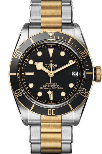 Tudor Black Bay S&G Ref - M79733N-0008